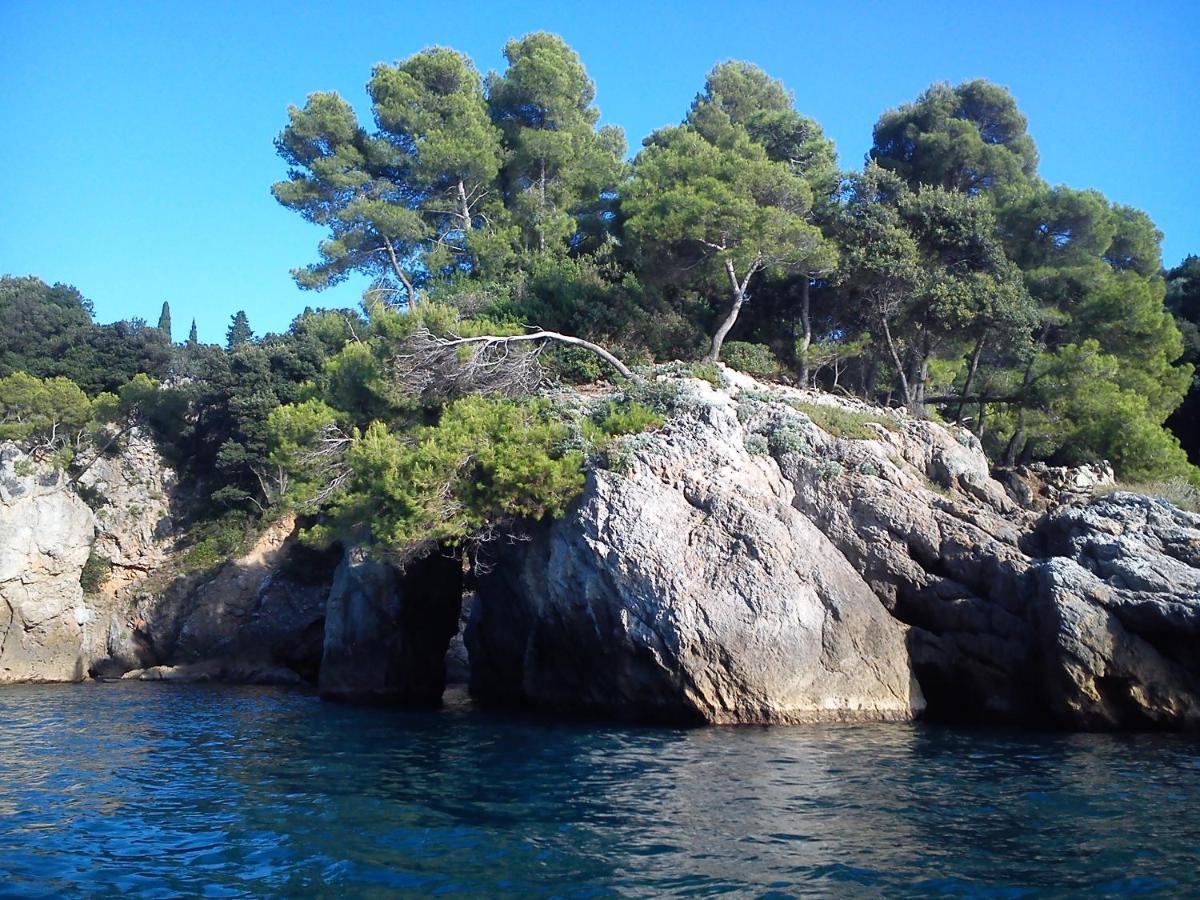 Mansard Apart Alba - Sea 5 Terre-Trekking-Excursions-Relax Сан Теренцо Екстериор снимка